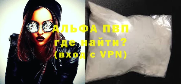 стаф Белокуриха