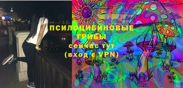 трава Беломорск