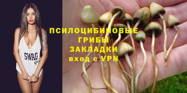 стаф Белокуриха